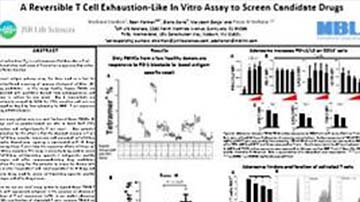 A-Reversible-T-Cell-Exhaustion-Like-In-Vitro-Assay-to-Screen-Candidate-Drugs-1