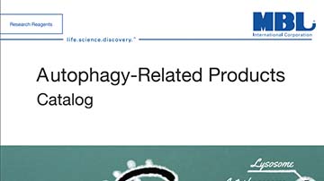 Autophagy-Related-Products-1