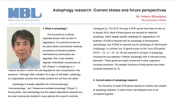 Autophagy-Research-1