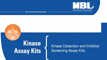 Kinase-Assay-Kits