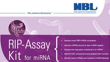 RIP-Assay-Kit-for-miRNA-1